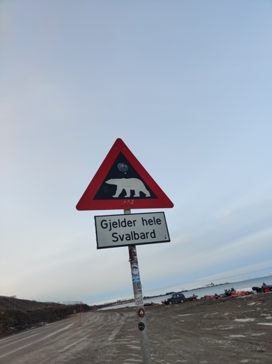 Anna-Pauliina Kokko3